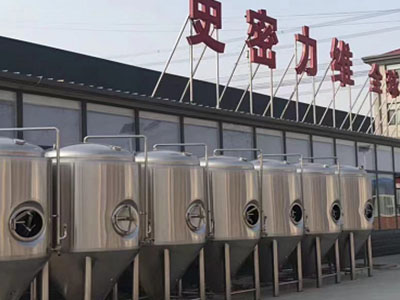 沿滩精酿啤酒设备厂—如何判断精酿啤酒设备的密封件需要更换？